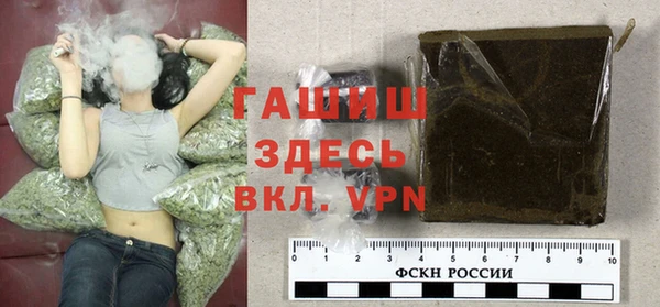 крисы Богородицк