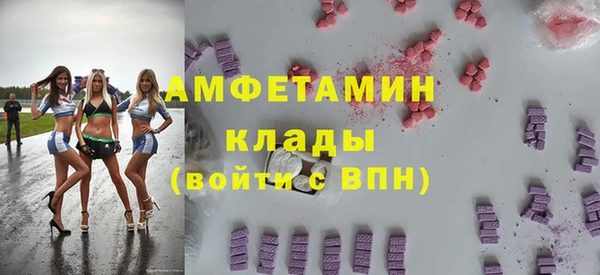крисы Богородицк