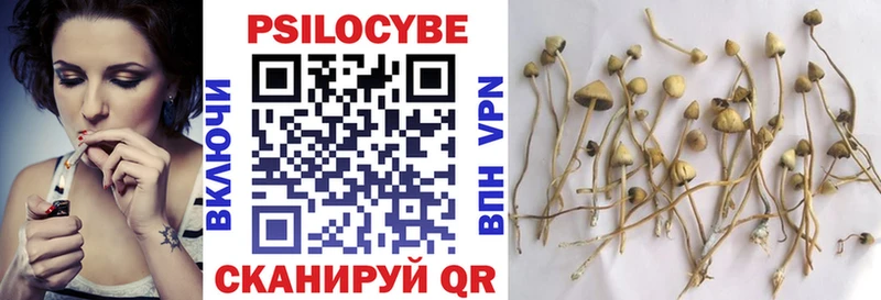 Галлюциногенные грибы ЛСД Новокузнецк