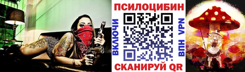 Галлюциногенные грибы Magic Shrooms  как найти наркотики  Новокузнецк 